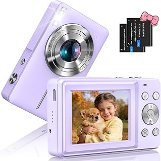 Sony Alpha 6600 | Appareil Photo Numérique Hybride APS-C ( 24,2 MP, AF en 0.02s, Suivi des Yeux, stabilisation interne 5 axes, 4K HLG, Ecran Selfie Vlogging, Batterie Haute Capacité )