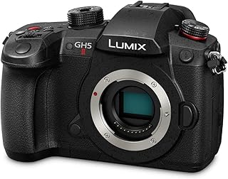Panasonic Lumix GH5M2 | Appareil photo Hybride Expert (Capteur 4/3 20.3MP, Double stab., Écran orient. tact., AF DFD 225 Zones, C4K 60p/4:2:2 10bit, Live Stream., Tropicalisé) Noir – Version Française