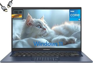 LinkMore XE300 SE 512 Go PCIe Gen3 NVMe M.2 2280 Disque SSD Interne, Gen3.0X4 Vitesse de Lecture Jusqu'à 2100 Mo/s pour Ordinateur Portable et PC