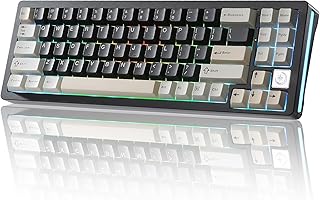 YUNZII AL71 75% Clavier Mécanique,Aluminium CNC, Hot Swappable Gasket, 2.4 GHz sans Fil BT5.0/USB-C Gaming Clavier,NKRO Programmable RGB pour Win/Mac (Noir, Cristal Blanc Switch)
