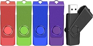 TEWENE Clé USB 8 Go Lot de 5, Clé USB 2.0 pour Le Transfert de Fichiers et Le Stockage de Données, avec Cordon et Autocollant