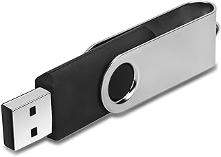 Clé USB 2.0 en métal avec indicateur LED Lot de 5 couleurs (512 Mo, pas GB, plus petit que 1 Go Blank)