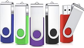 Clé USB 8Go Lot de 5 Flash Drive Cles USB 2.0 Mémoire Stick Stockage Pivotantes Porte Clef USB U Disque (5 Couleurs Mélangées:Rouge Vert Noir Bleu Violet)